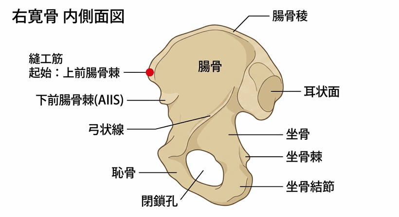 解説図