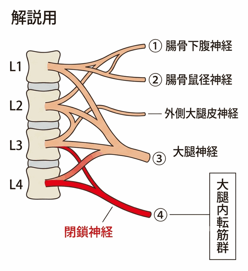 解説図